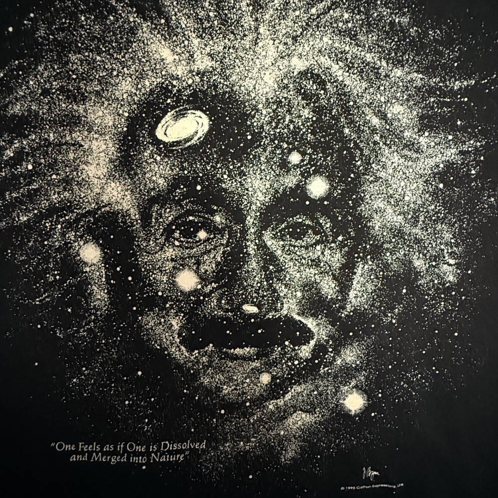 VTG 1993 Albert Einstein Shirt 2X Black Glow In Dark Science Nerd Cosmos Physics